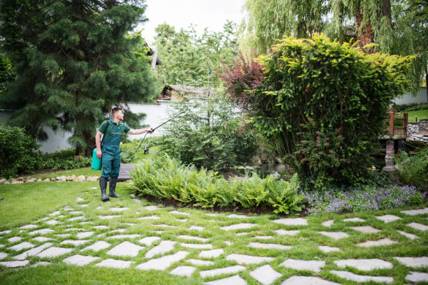 Bird Control in Ronkonkoma, NY