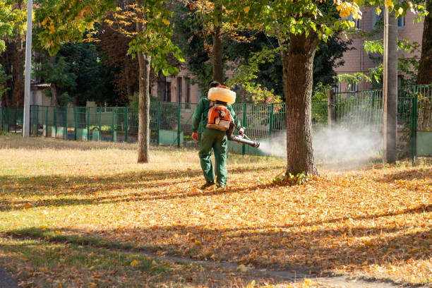 Best Termite Control Services  in Ronkonkoma, NY