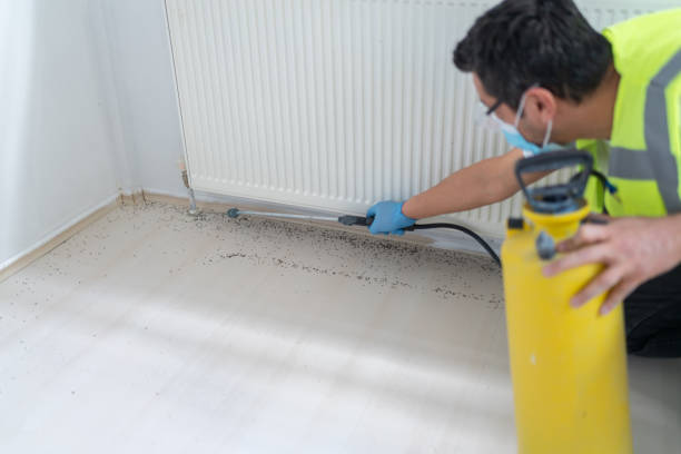 Best Exterminator Services  in Ronkonkoma, NY