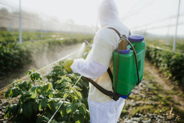 Best Pest Control Treatment  in Ronkonkoma, NY
